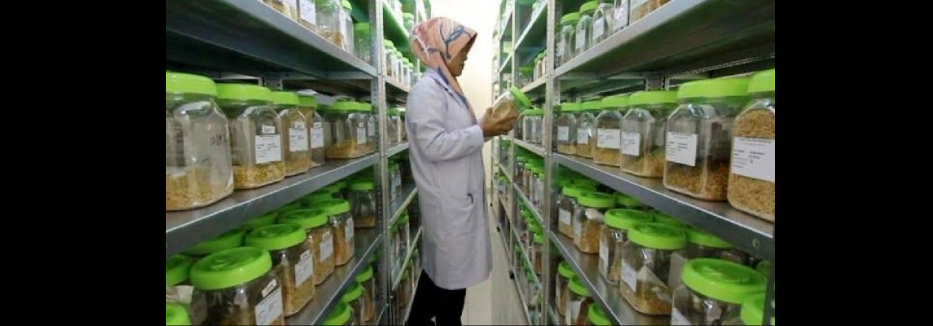 Koleksi hortikultura Indonesia