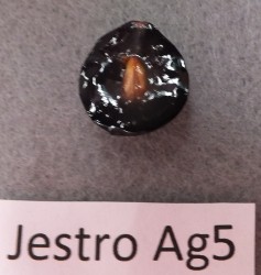 Jestro Ag5