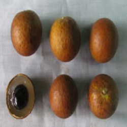 Fuandray