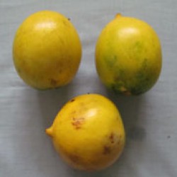 Abiu